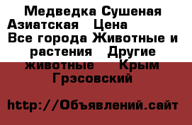 Медведка Сушеная Азиатская › Цена ­ 1 400 - Все города Животные и растения » Другие животные   . Крым,Грэсовский